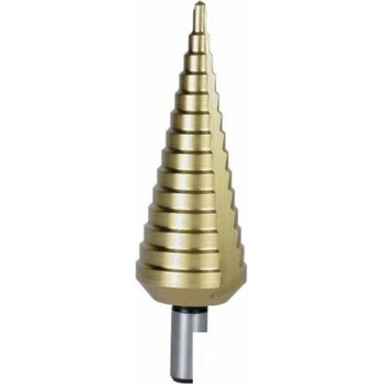 Dedra WMST0430