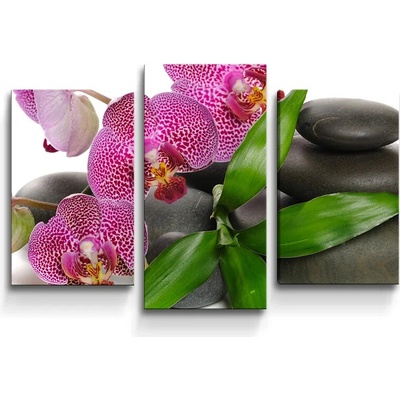 Sablio Obraz - 3-dílný Orchidey a kamene - 75x50 cm