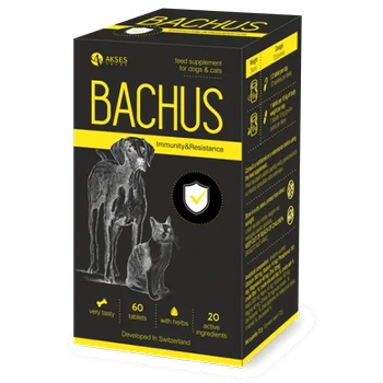 Image 1 of Akses Swiss, GmbH Bachus immunity & resistance - ИМУНИТЕТ & УСТОЙЧИВОСТ, за подсилване на имунната система и намаляване на оксидативния стрес - 60 таблетки, Швейцария - bachus-03