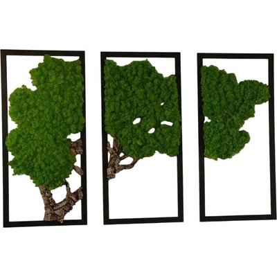 Triptych – 3-dielny obraz Strom s machom