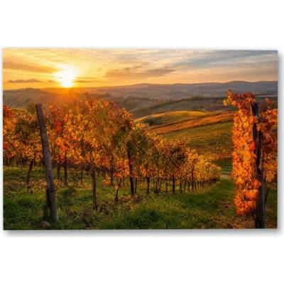 Plakát – Vinice v kopcích při slunci 135 × 90 cm Bez rámu Ne Bez rámu
