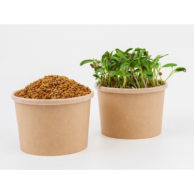 Tiny Greens Pískavice řecké seno BIO semínka na klíčení a 200 g