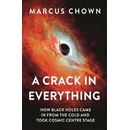 Crack in Everything
