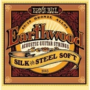 Ernie Ball 2045