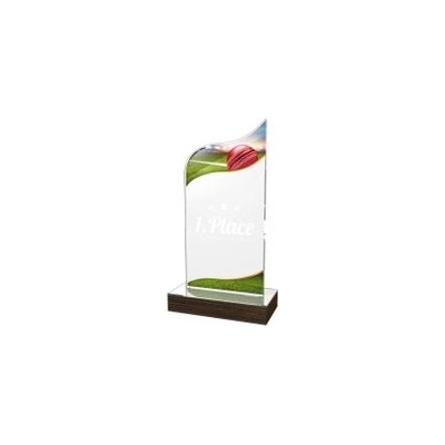 Poháry Bauer Akrylátová trofej WPLA609 Cricket