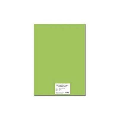 STEPA Barevný karton EXTRA 300g 50x70cm - světle zelený 10listů