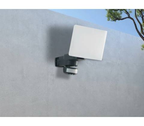 Nedes LFX221