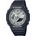 Casio GA-2100SB-1AER