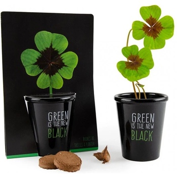 Image 1 of Radis et Capucine Черна саксия Четирилистна детелина (034147)