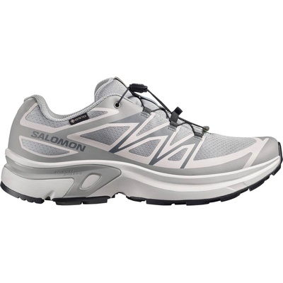 Salomon XT EVR GTX Mens - Alloy/Black