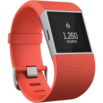 Fitbit Surge Small