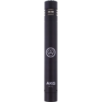 AKG P 170