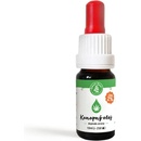 Zelená země CBD Konopný olej 2 % 10 ml