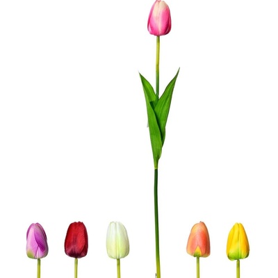 KS TULIPÁN 6F 55cm
