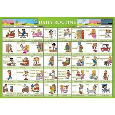 Karta Daily Routine KNI