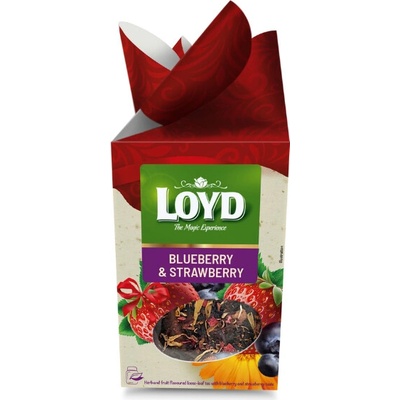 LOYD Blueberry & strawberry 120 g