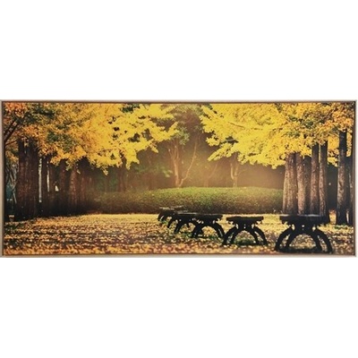 Bondecor Obraz na plátně v rámu "Podzim v parku" 134x59cm Barva: Přírodní rám