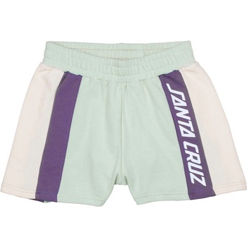 Santa Cruz Frame Shorts multi