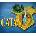 Catan: Creator's Edition