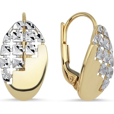 Lillian Vassago náušnice v kombinácii bieleho a žltého zlata LLV46-GER054