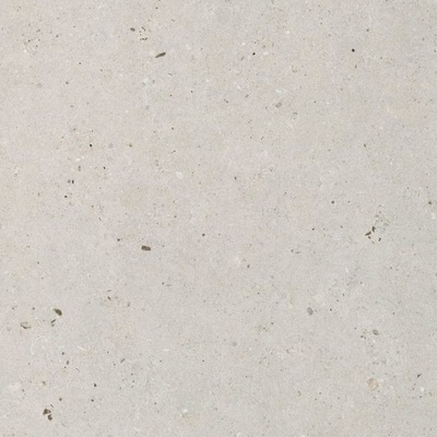 Impronta Italgraniti Silver Grain 60 x 60 cm silver grey naturale 1,44m²