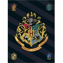 Jerry Fabrics Detská deka HARRY POTTER 067