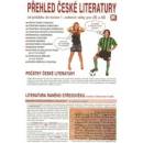 Přehled české literatury