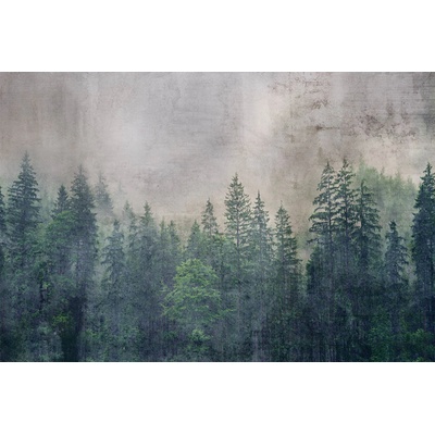 DIMEX MS-5-0353 vliesová fototapeta rozměry 375 x 250 cm