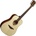 LÂG GUITARS Tramontane 88 T88D