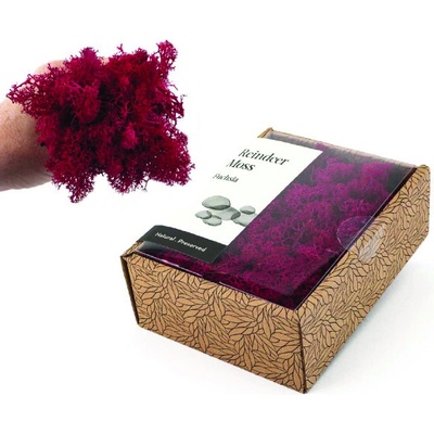 KreaBox - Fuchsiový lišajník