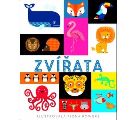 Zvířata