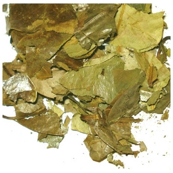 World Herbs Graviola anona list 100 g