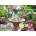 House of Puzzles - Puzzle Summer Birds - 1 000 piese