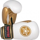 Boxerské rukavice Spartan Top Ten