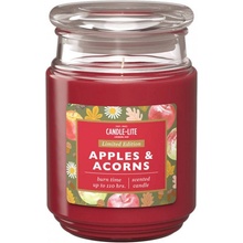 CANDLE-LITE Apple Acorns 510g