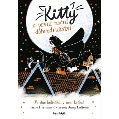 Kitty a první noční dobrodružství - Paula Harrison