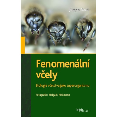 Fenomenální včely