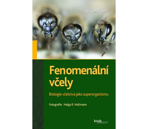 Fenomenální včely