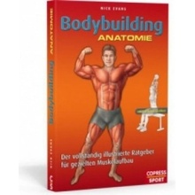 Bodybuilding Anatomie