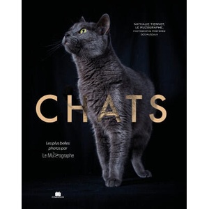 Chats | Tiennot (2025)