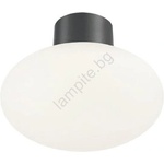 Ideal Lux - Външно таванно осветително тяло CLIO 1xE27/42W/230V Ø 28 см IP44 антрацит (ID148861)