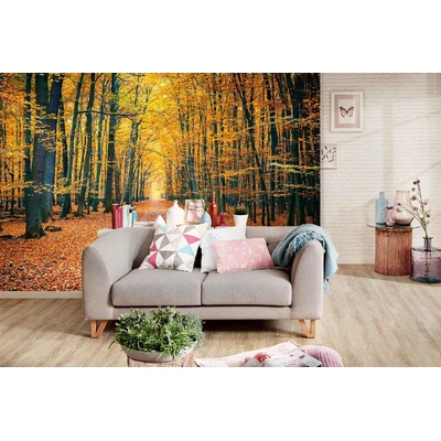 DIMEX ART Самозалепваща се флизелинова фототапета цветен есенен парк 375 x 250 см