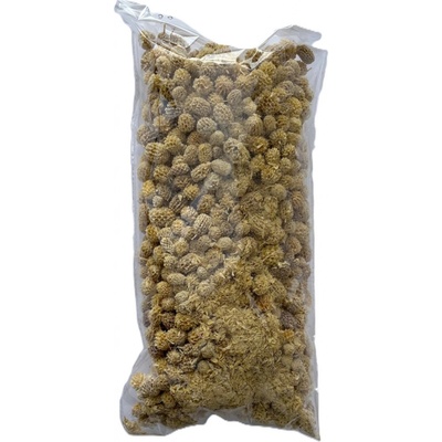 Casurina blanched 500 gr.