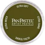 PanPastel Artists’ Сух пастел 680.1 Bright Yellow Green Extra Dark 1 бр (8026801-1)