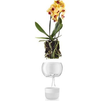 Eva Solo Samozavlažovací skleněný na orchidej O15cm