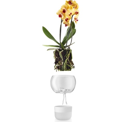Eva Solo Samozavlažovací skleněný na orchidej O15cm