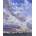 Landscape Painting | Richard Pikesley