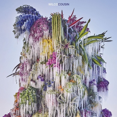 Wilco - Cousin (LP) (0051497406714)
