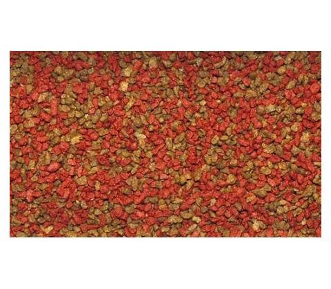 Dajana Basic granules 30 g