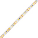 T-LED 07723